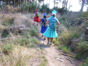 Surreal Bush Walking Experience